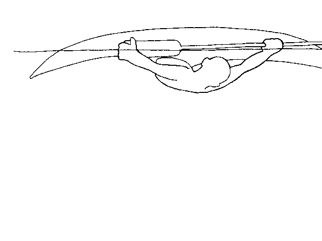 Setup position for Pawlatta roll -- Setuprol.gif (3191 bytes)