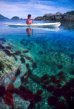 Curch2 (2).jpg (39397 bytes)