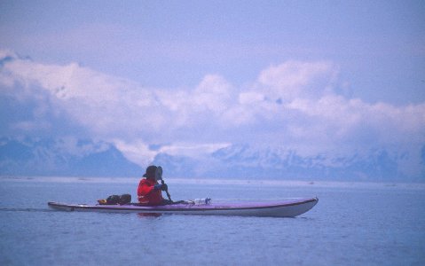 Ealaska2 (2).jpg (18970 bytes)