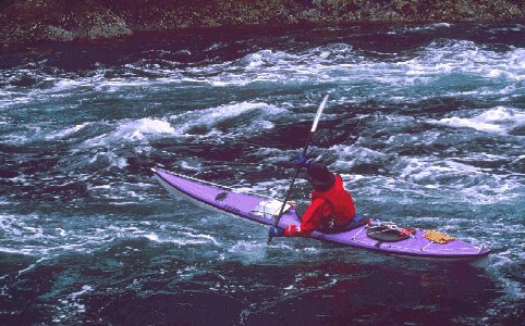 Edevilsinlet2 (2).jpg (53659 bytes)