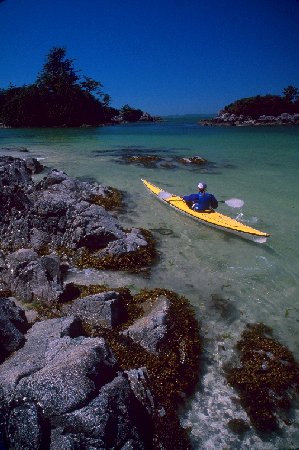 Xclark (2).jpg (39606 bytes)