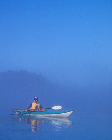 Xfog2 (2).jpg (14948 bytes)